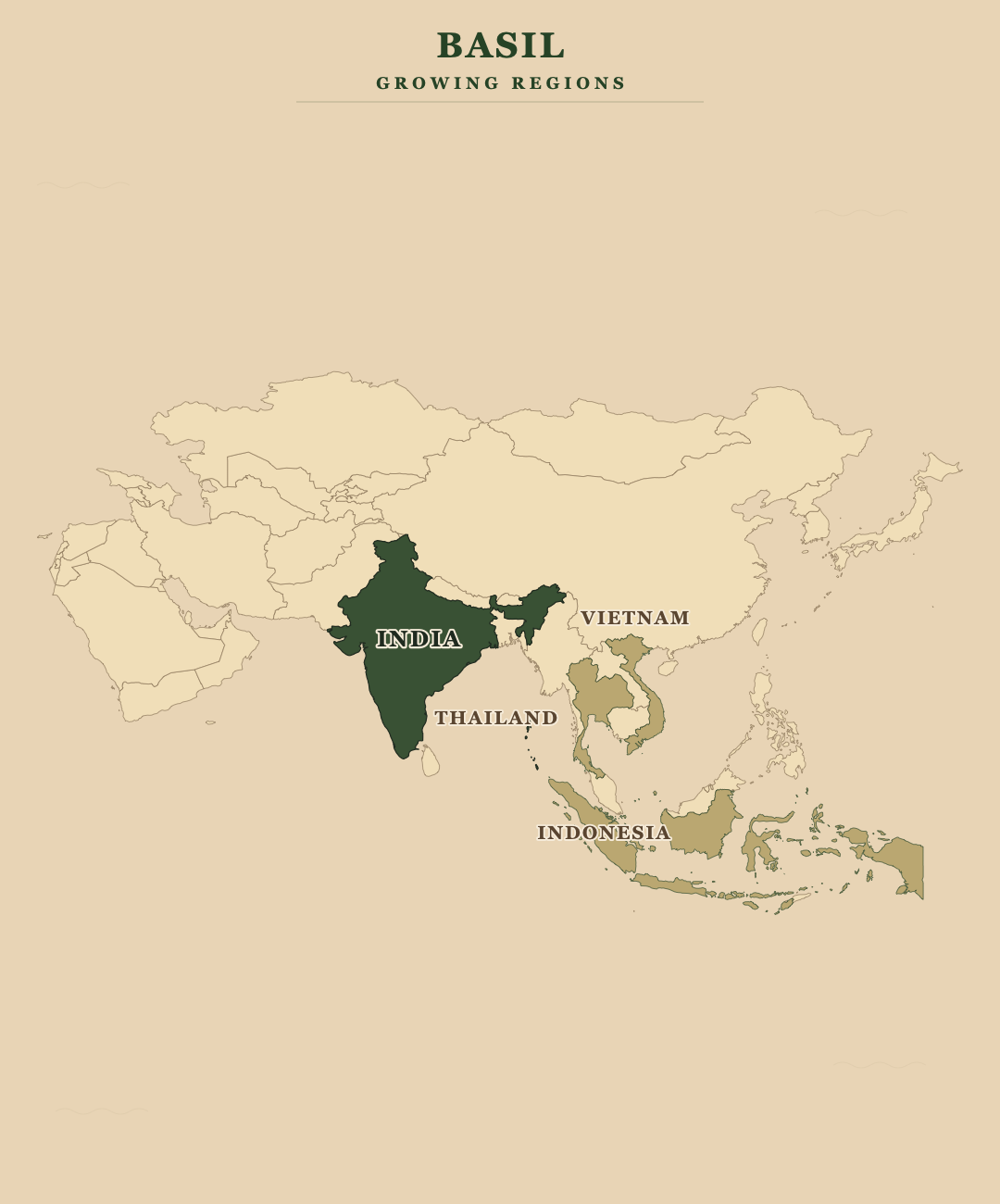 Basil — growing regions