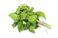 Basil