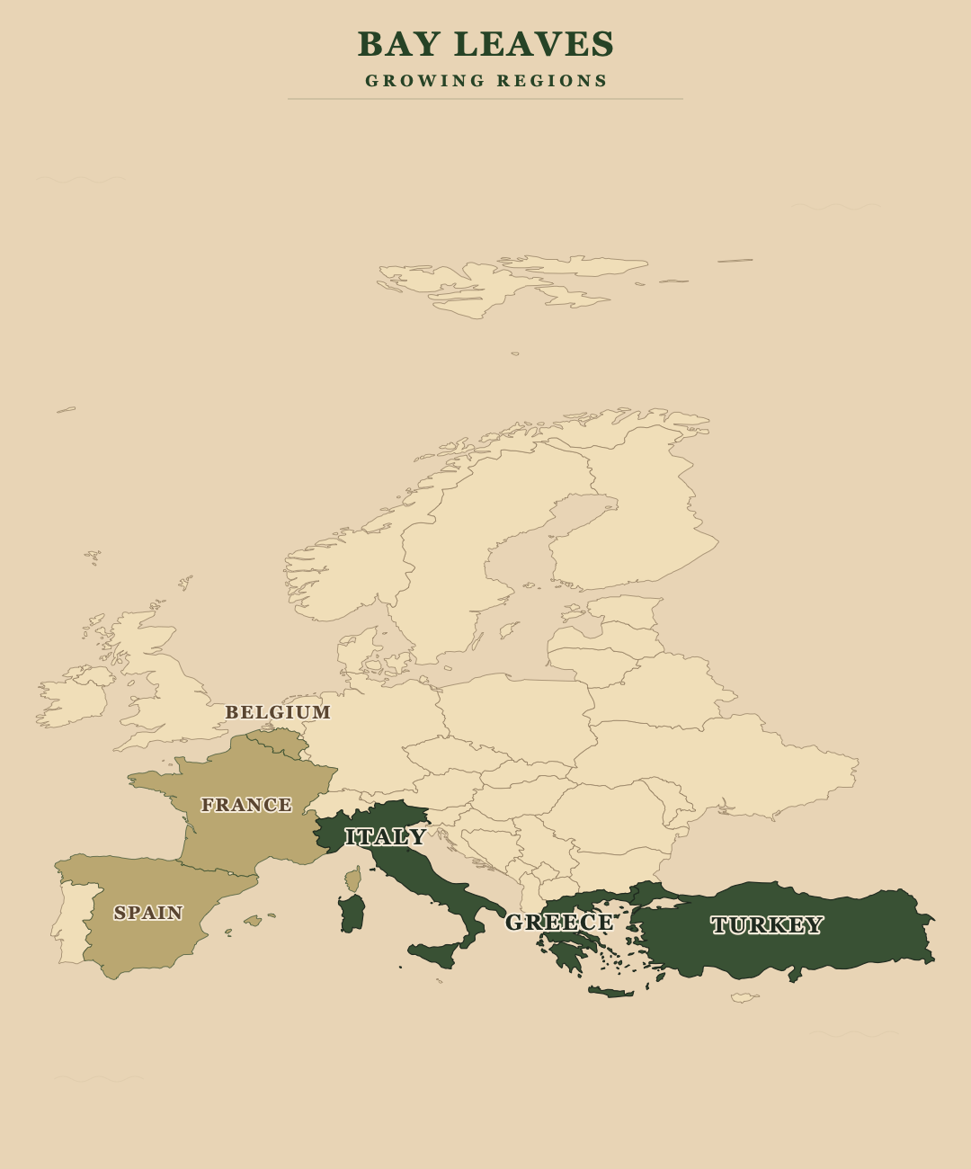 Bay Leaves — growing regions