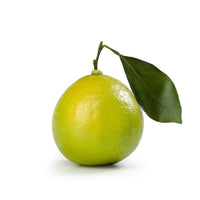 Bergamot
