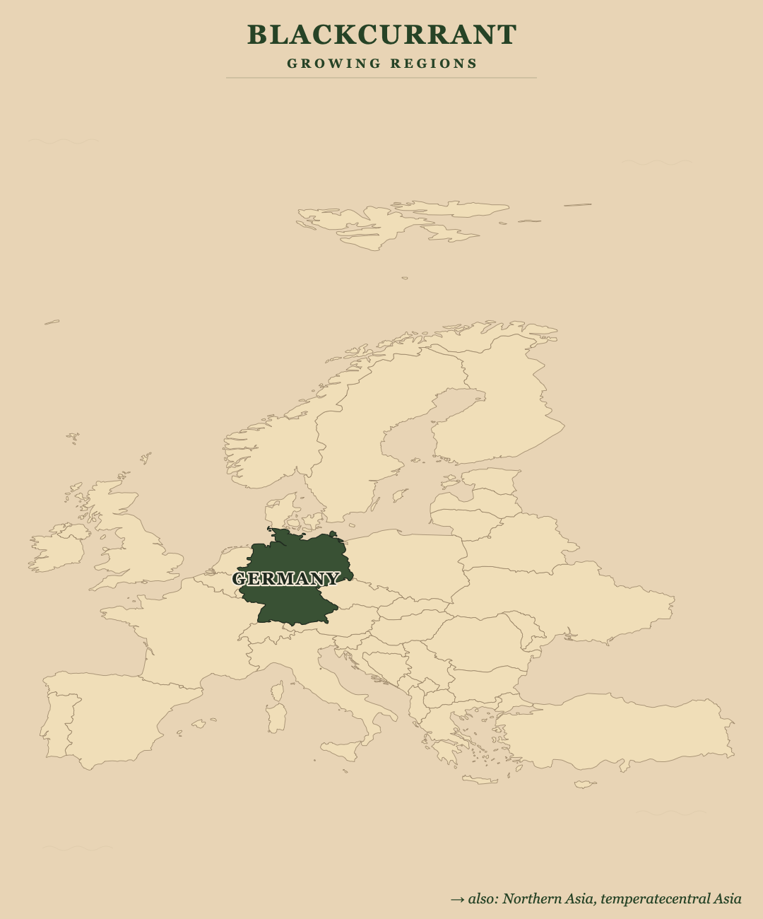Blackcurrant — growing regions