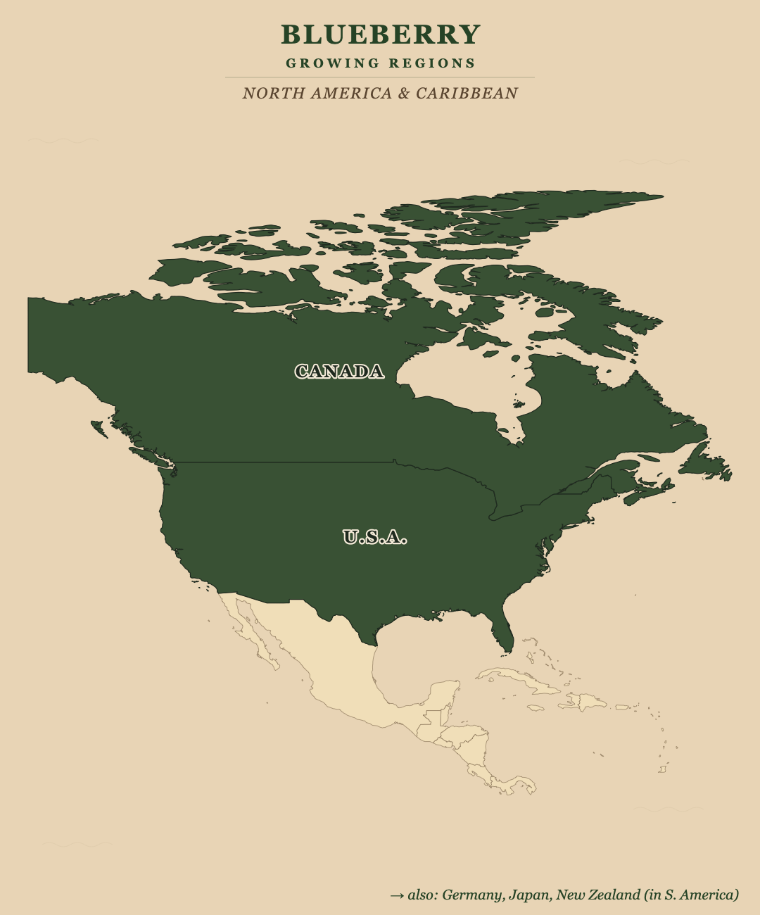Blueberry — growing regions
