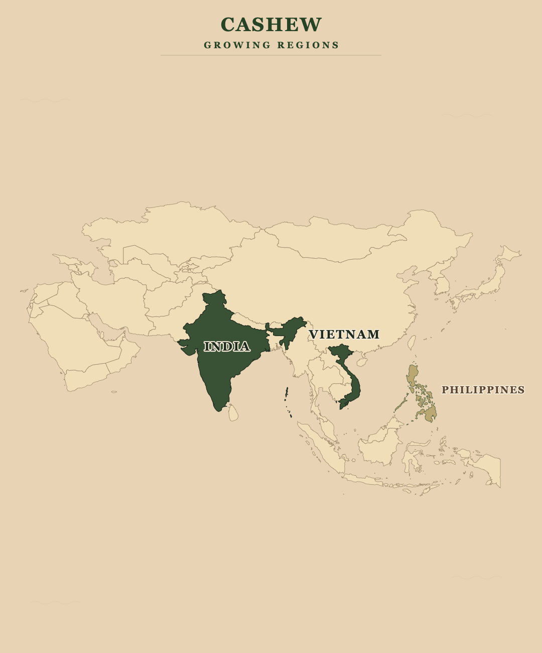 Cashew — growing regions