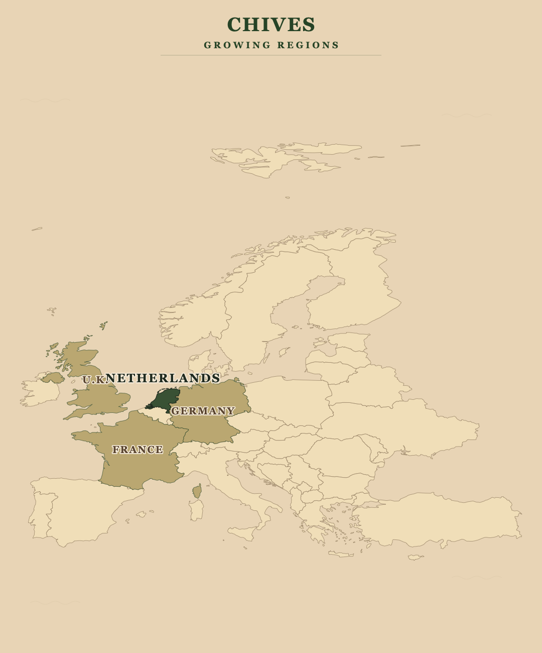 Chives — growing regions