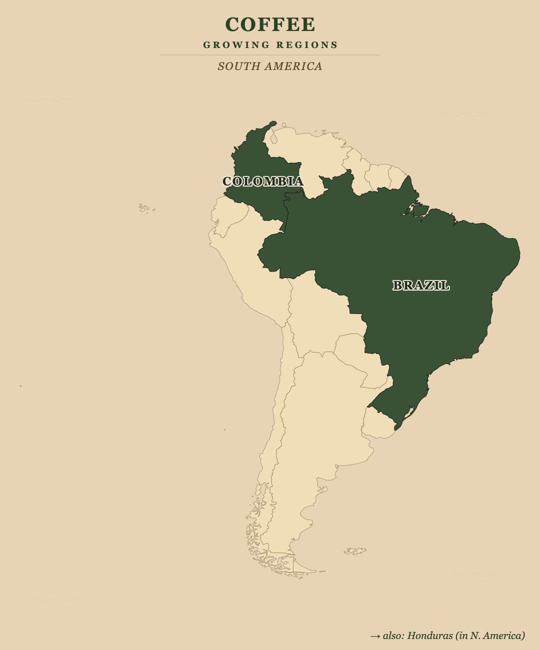 Coffee — growing regions