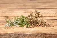Coriander Seed