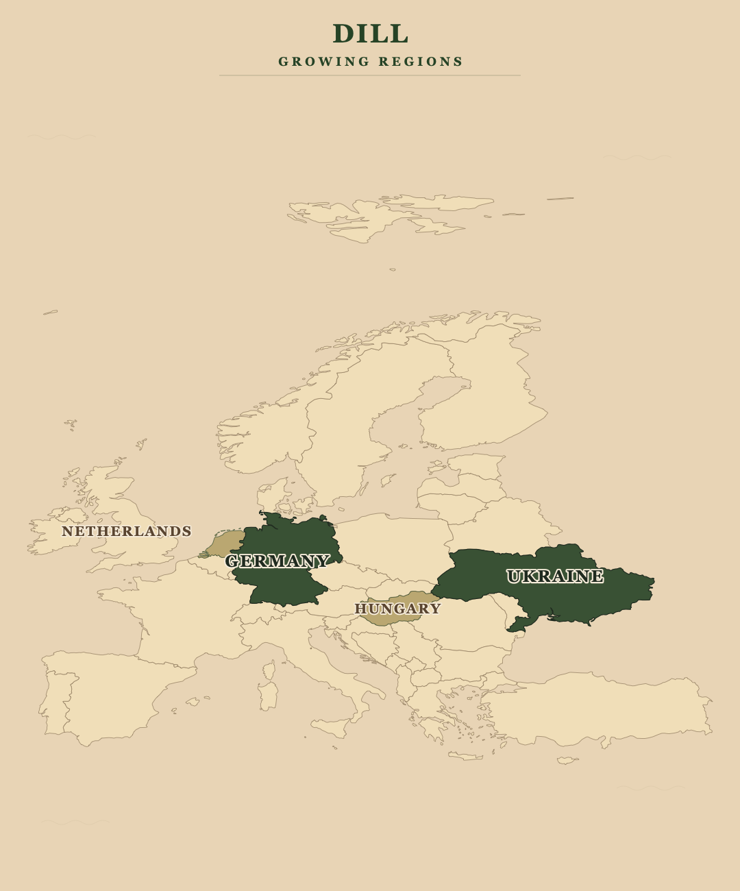 Dill — growing regions