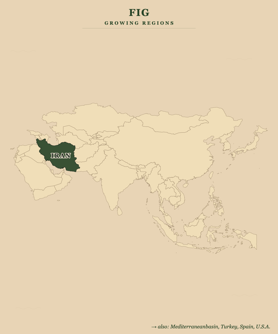 Fig — growing regions