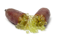 Finger Lime