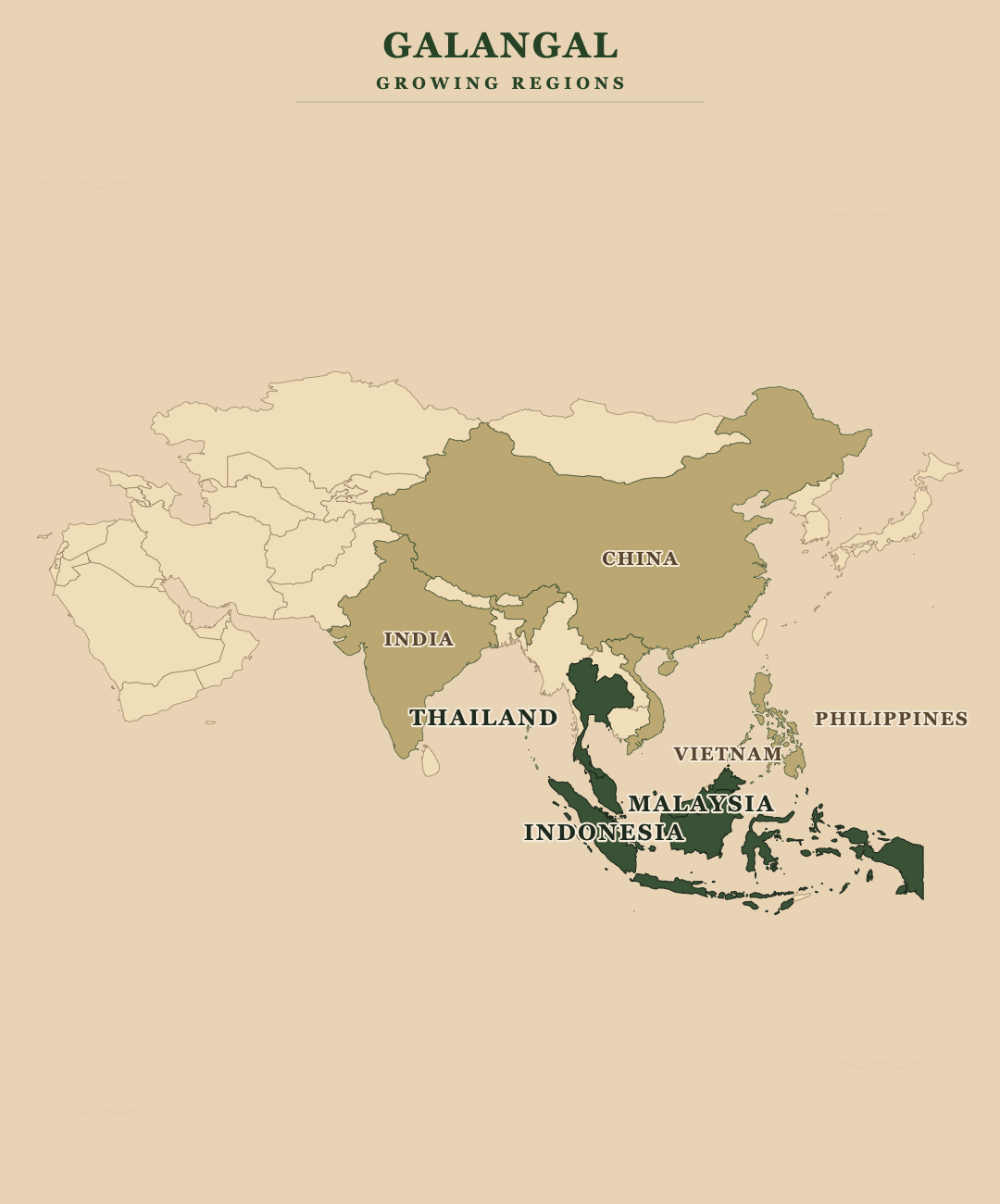 Galangal — growing regions