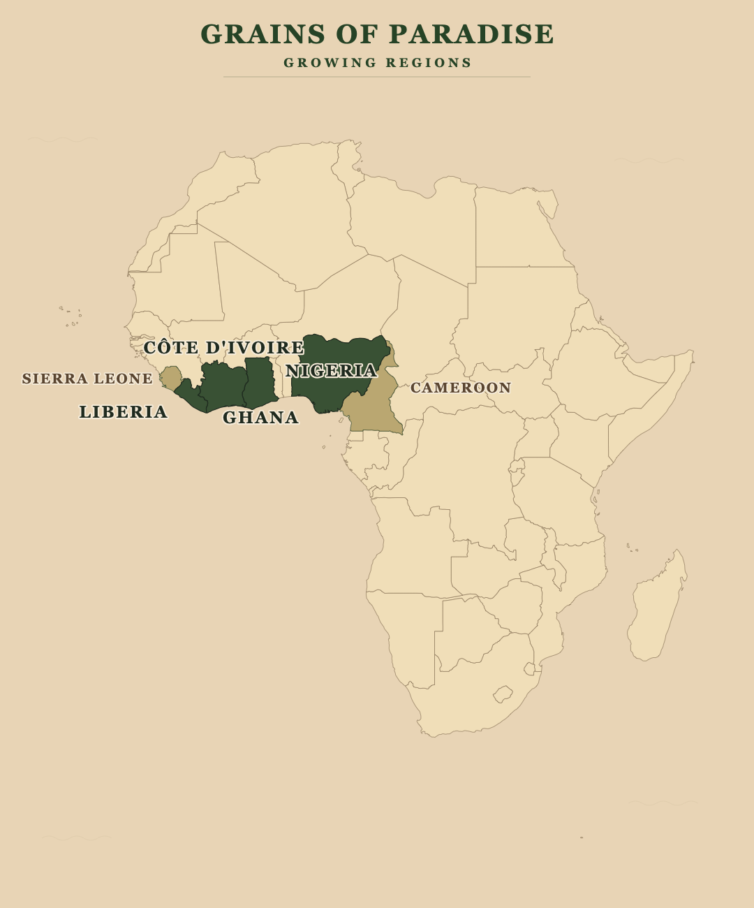 Grains of Paradise — growing regions