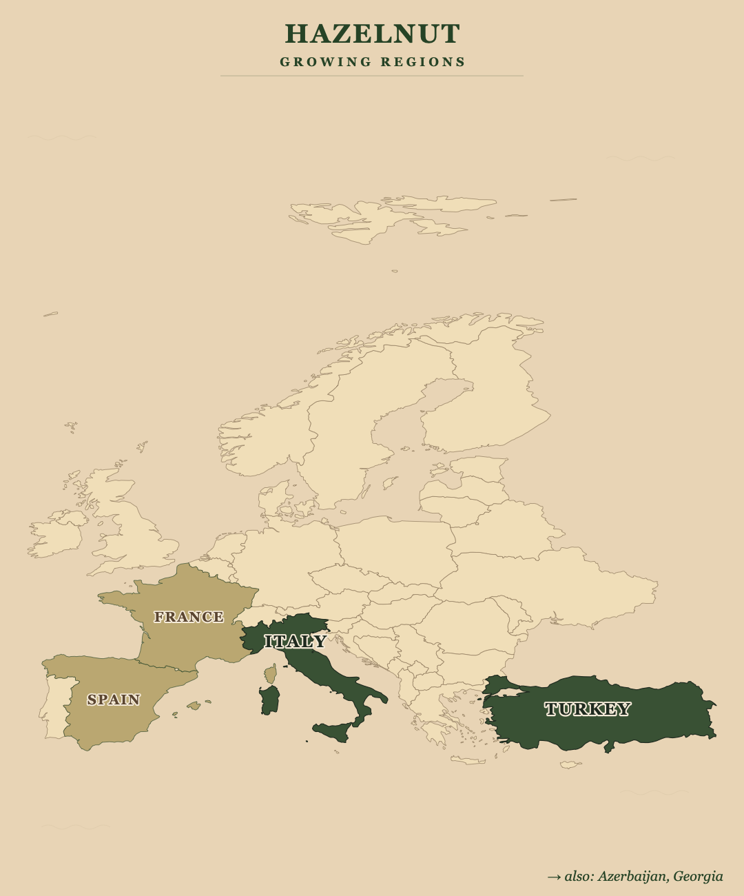 Hazelnut — growing regions