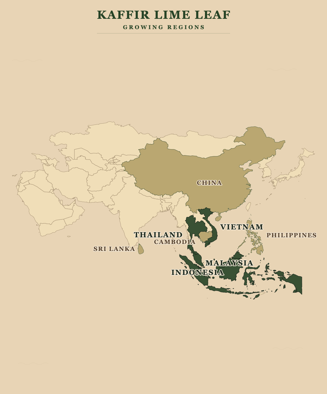 Kaffir Lime Leaf — growing regions