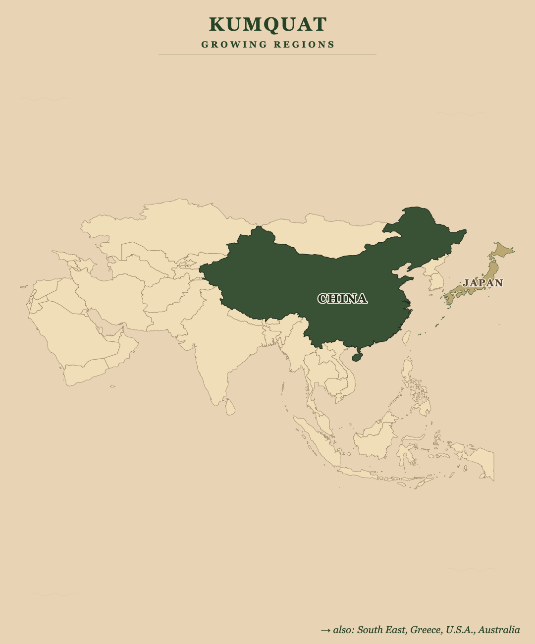 Kumquat — growing regions