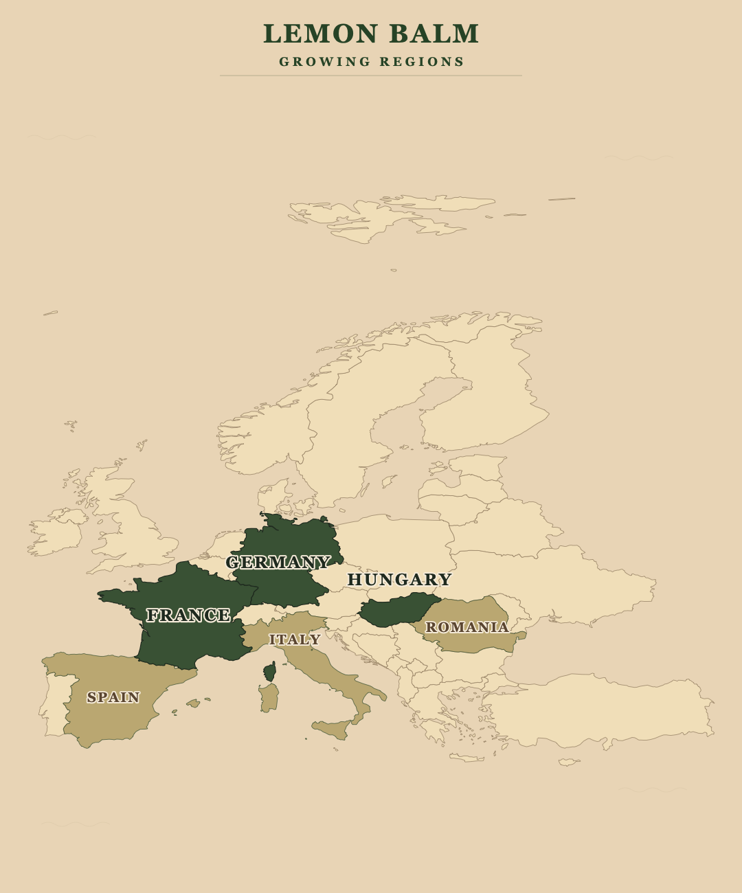 Lemon Balm — growing regions