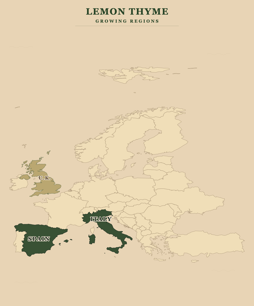 Lemon Thyme — growing regions