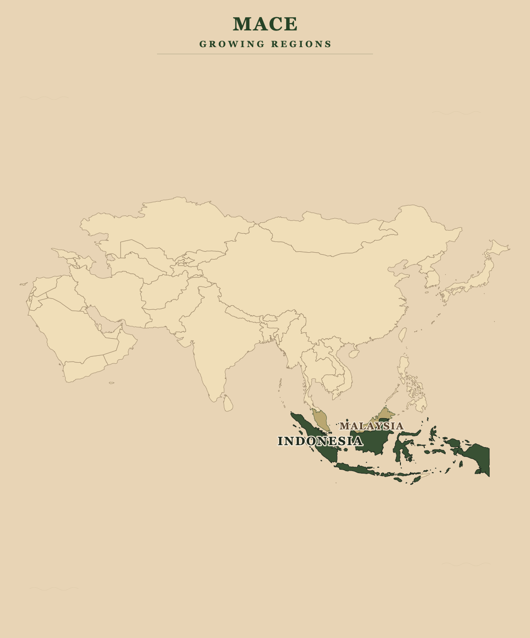 Mace — growing regions