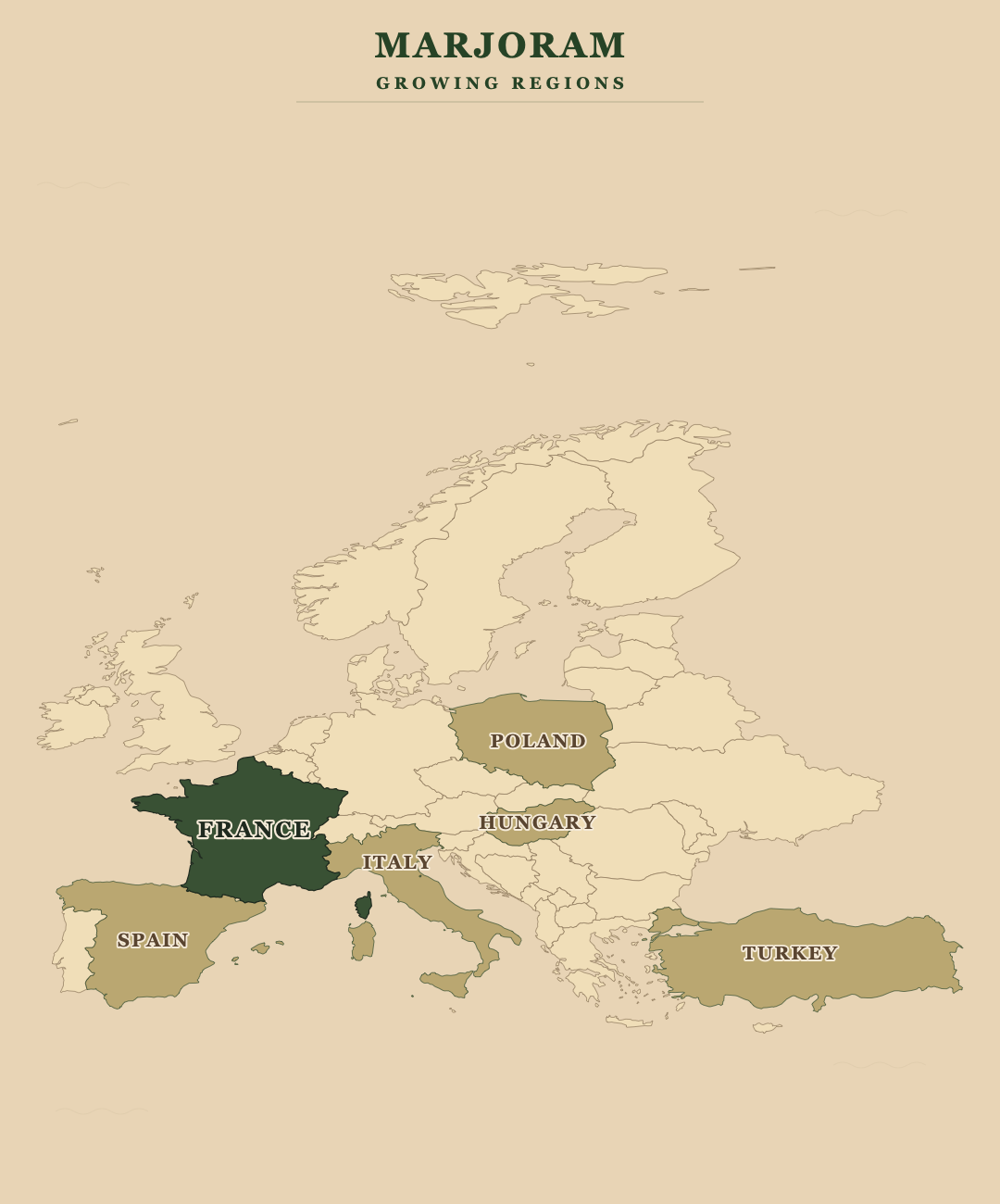 Marjoram — growing regions