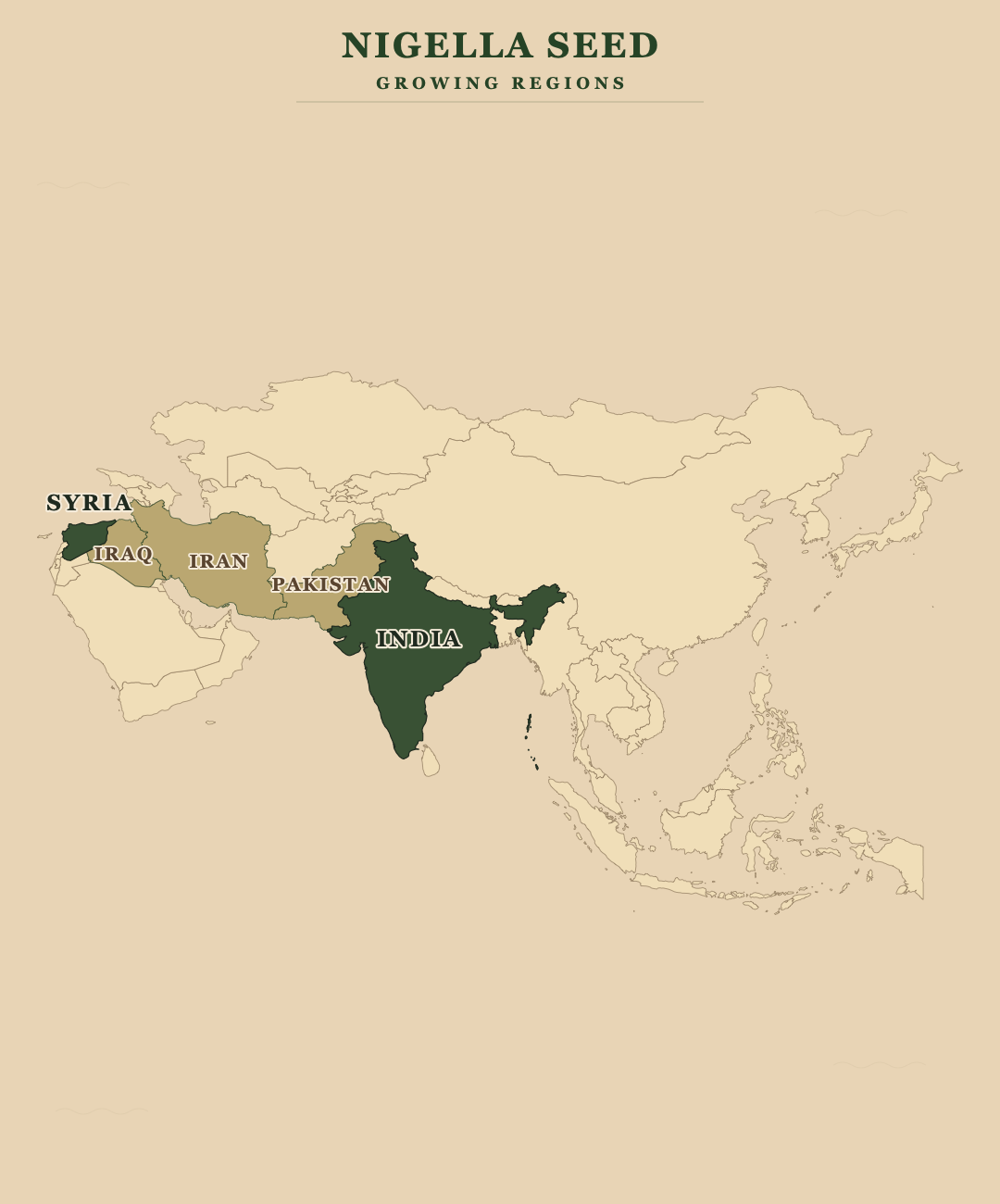 Nigella Seed — growing regions