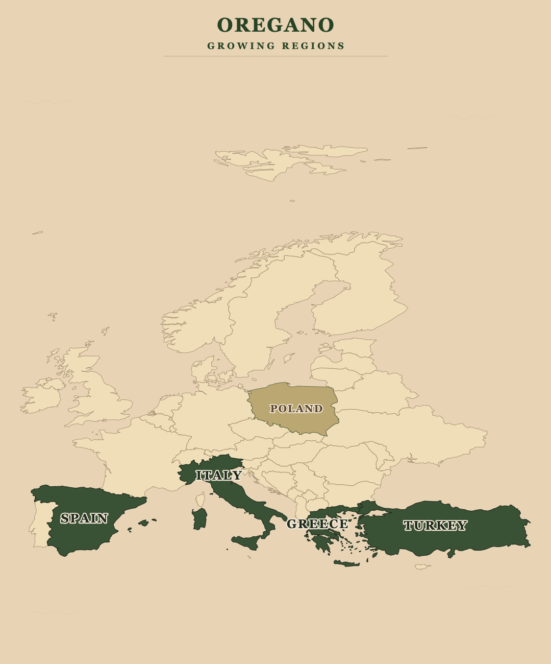 Oregano — growing regions