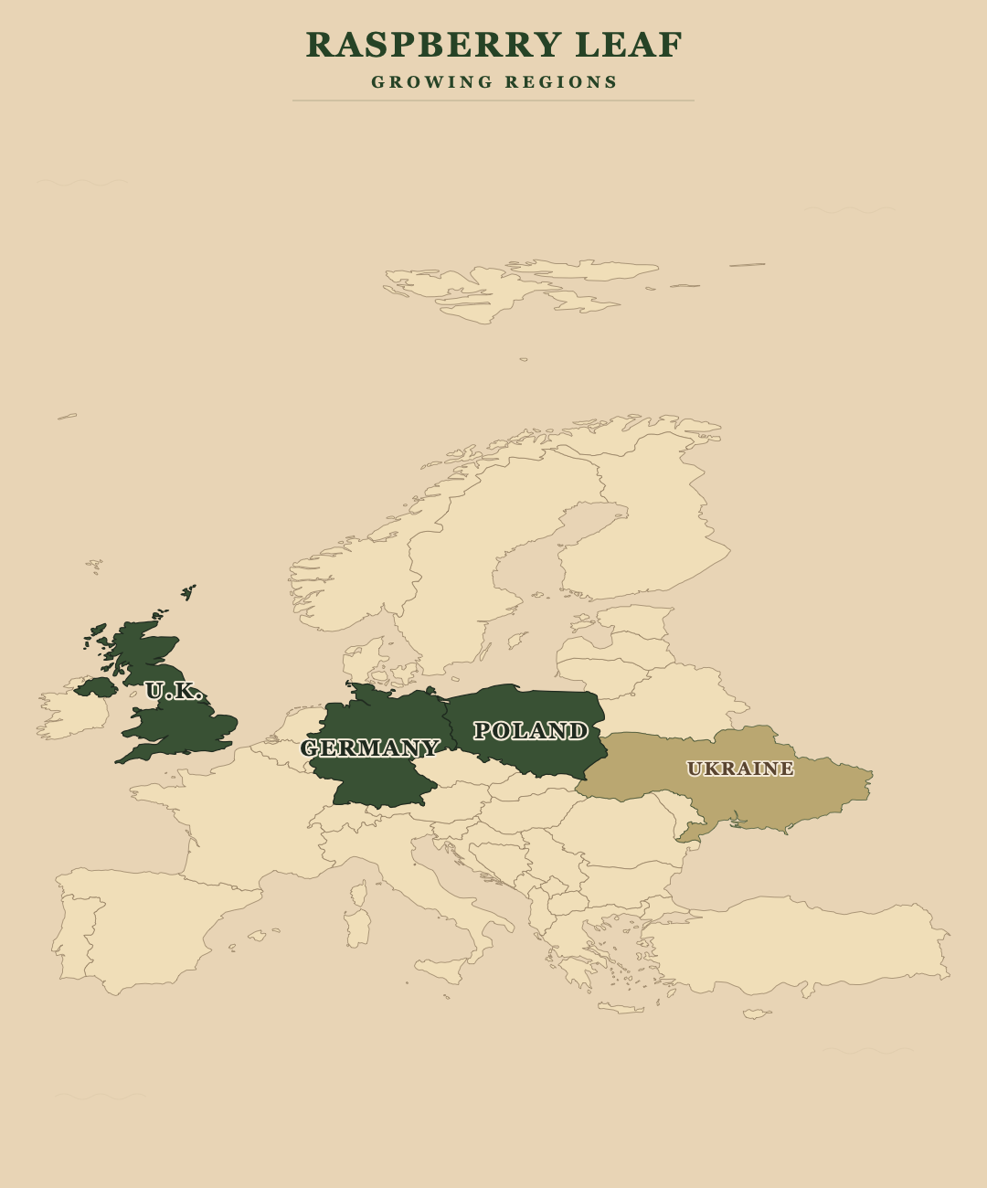 Raspberry Leaf — growing regions