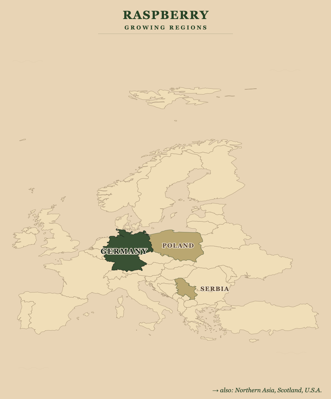 Raspberry — growing regions