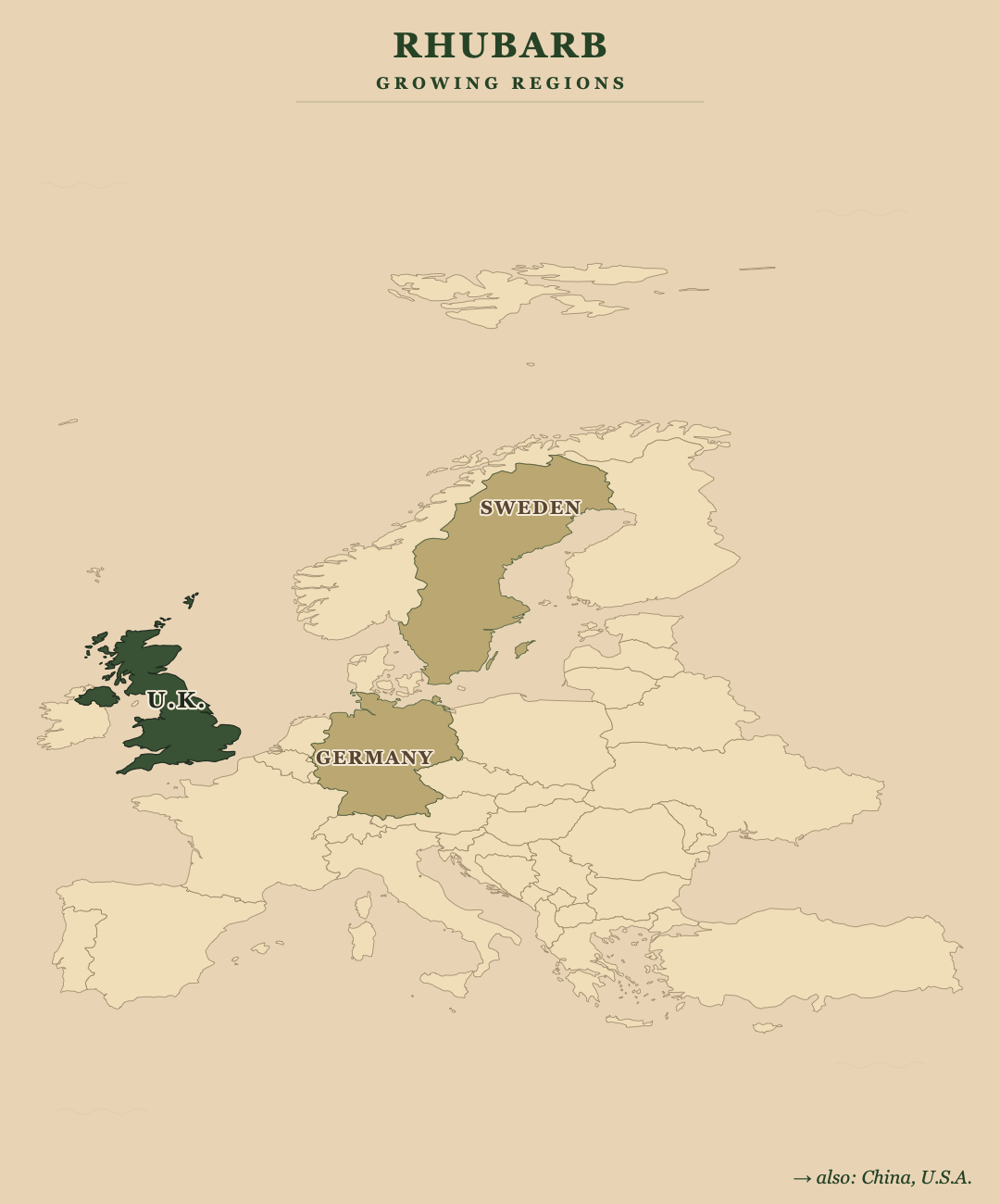Rhubarb — growing regions