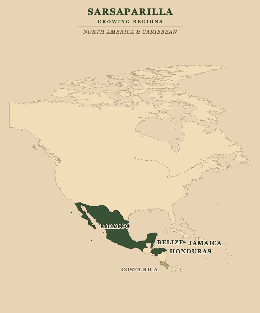 Sarsaparilla — growing regions