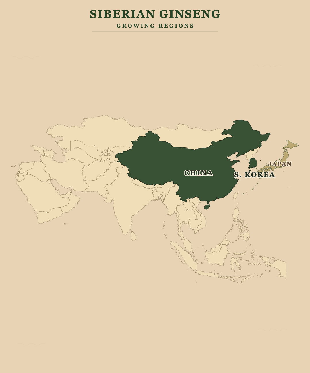 Siberian Ginseng — growing regions