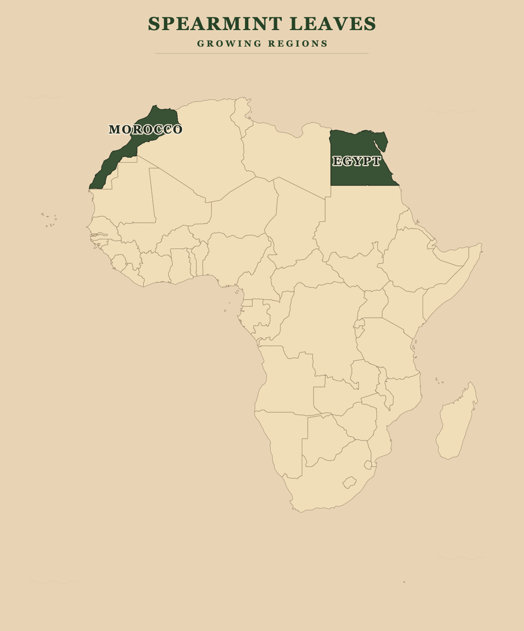 Spearmint Leaves — growing regions
