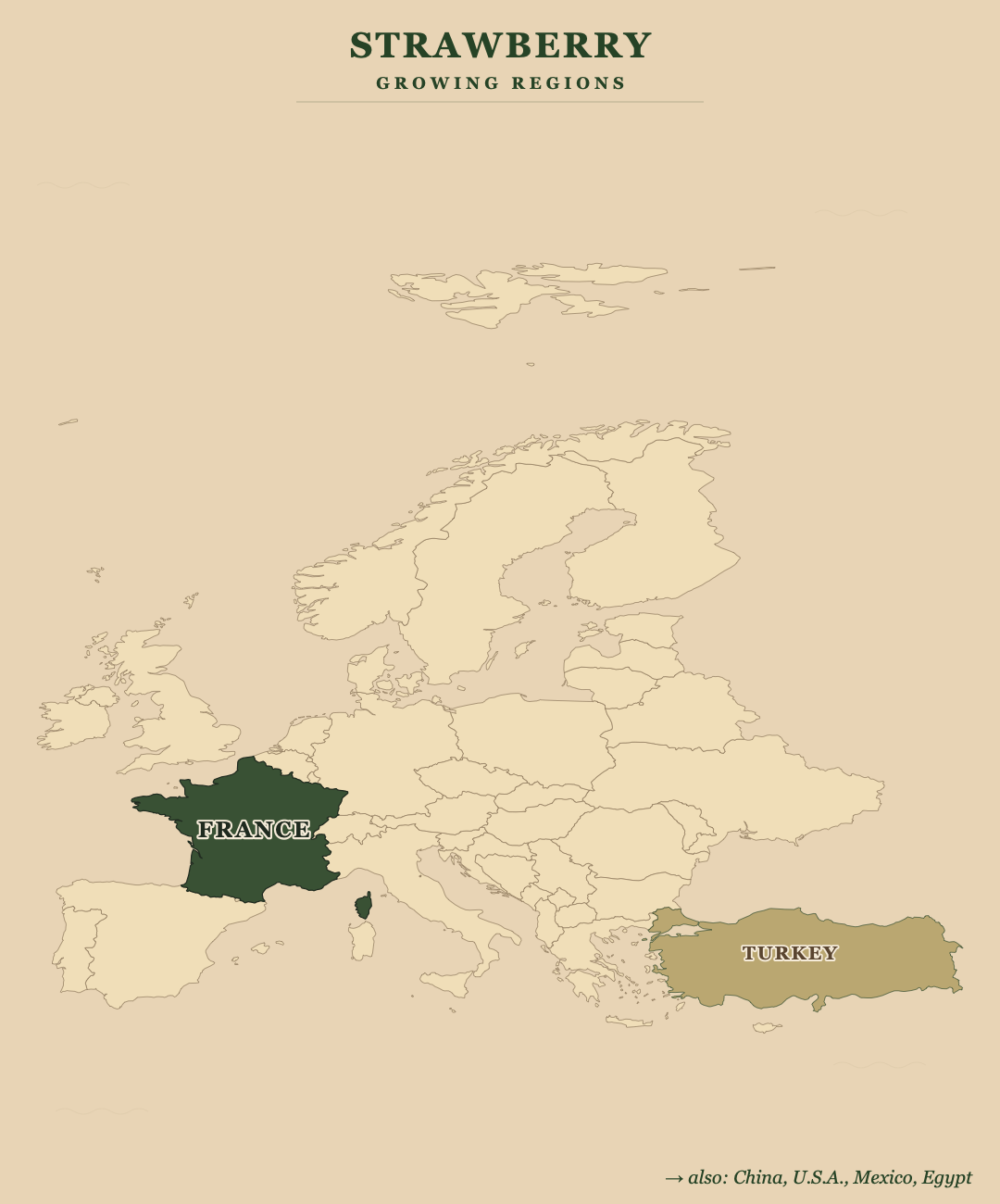 Strawberry — growing regions