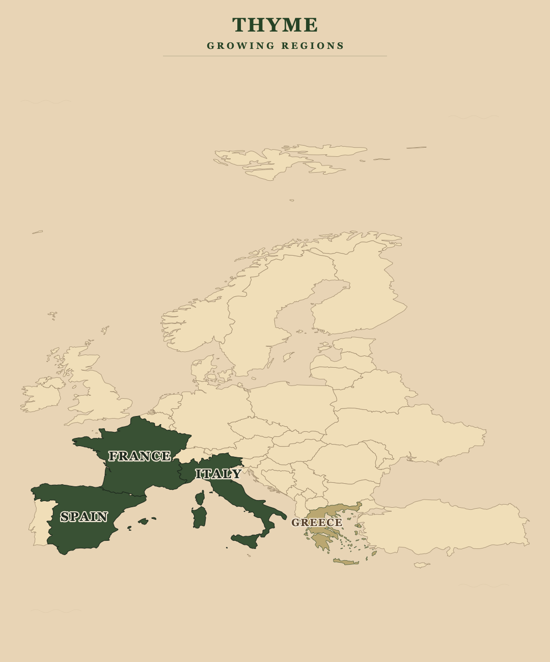 Thyme — growing regions