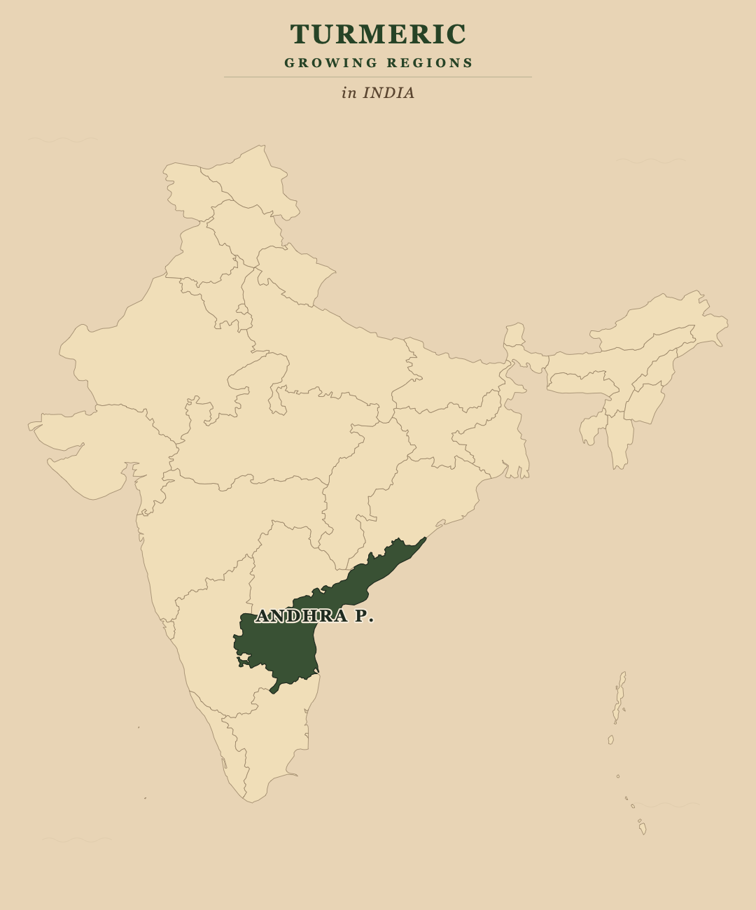 Turmeric — growing regions