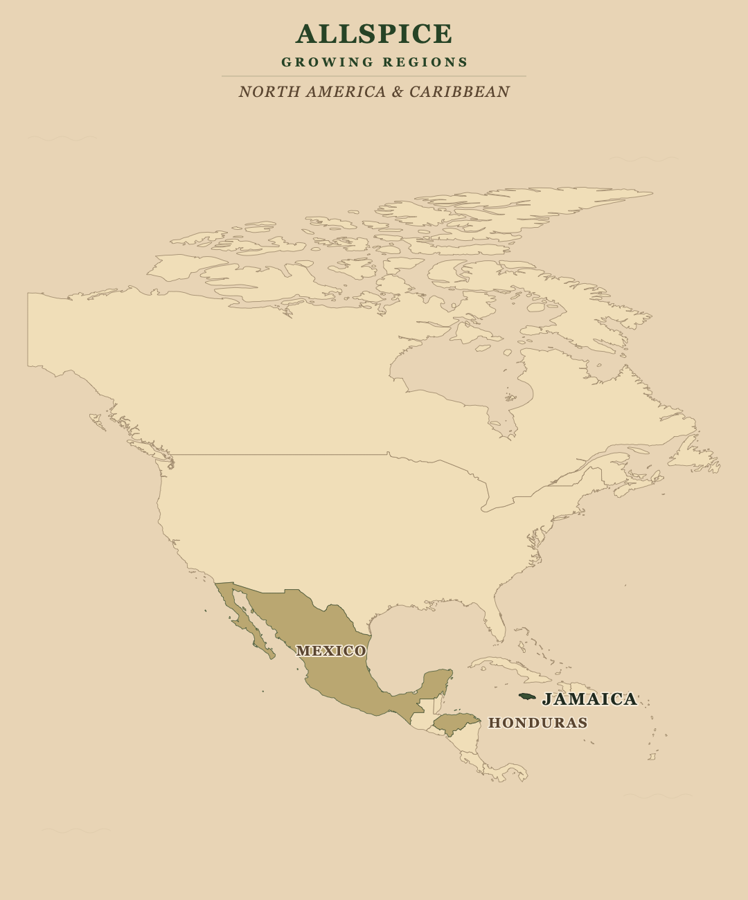 Allspice — growing regions