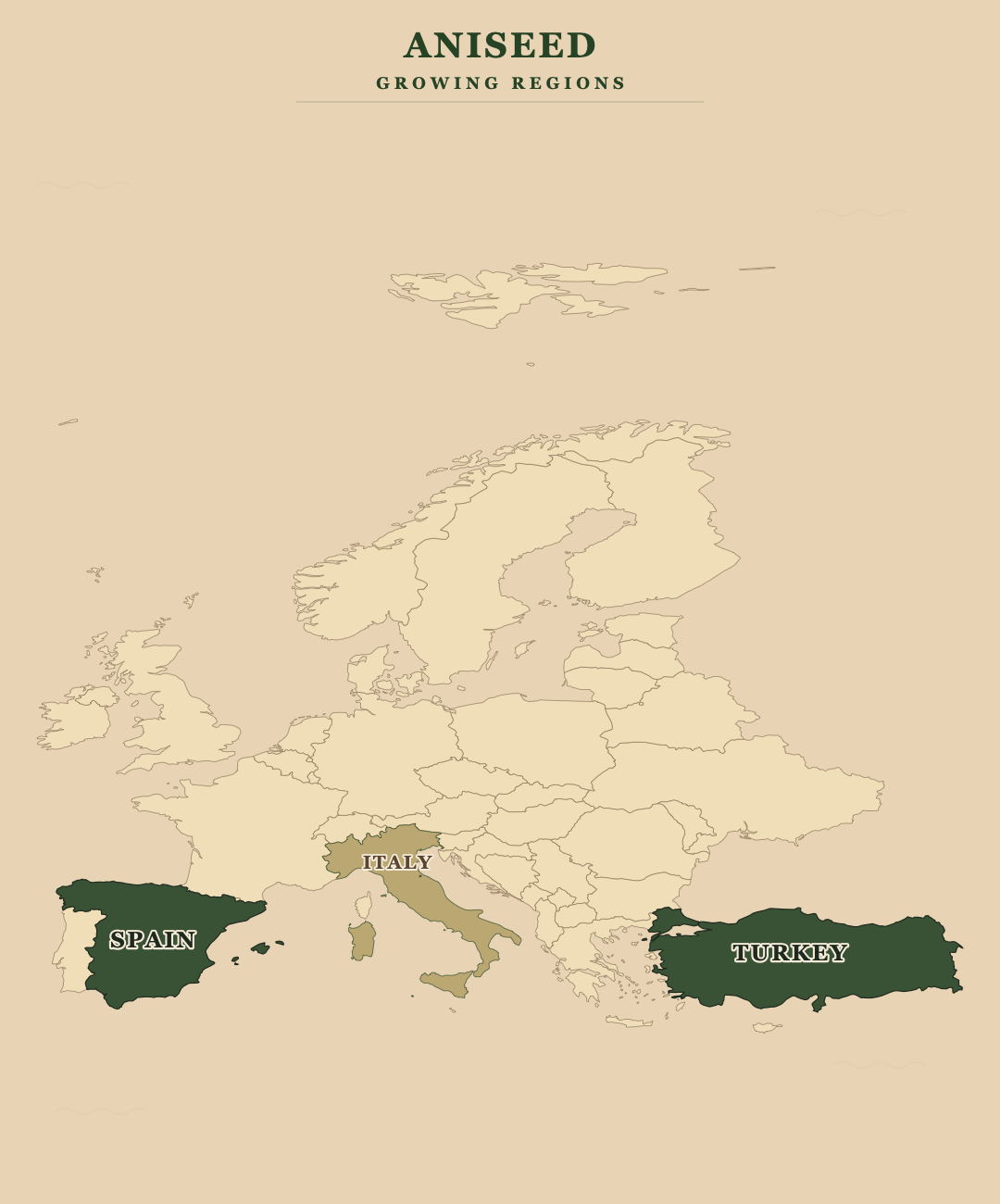 Aniseed — growing regions