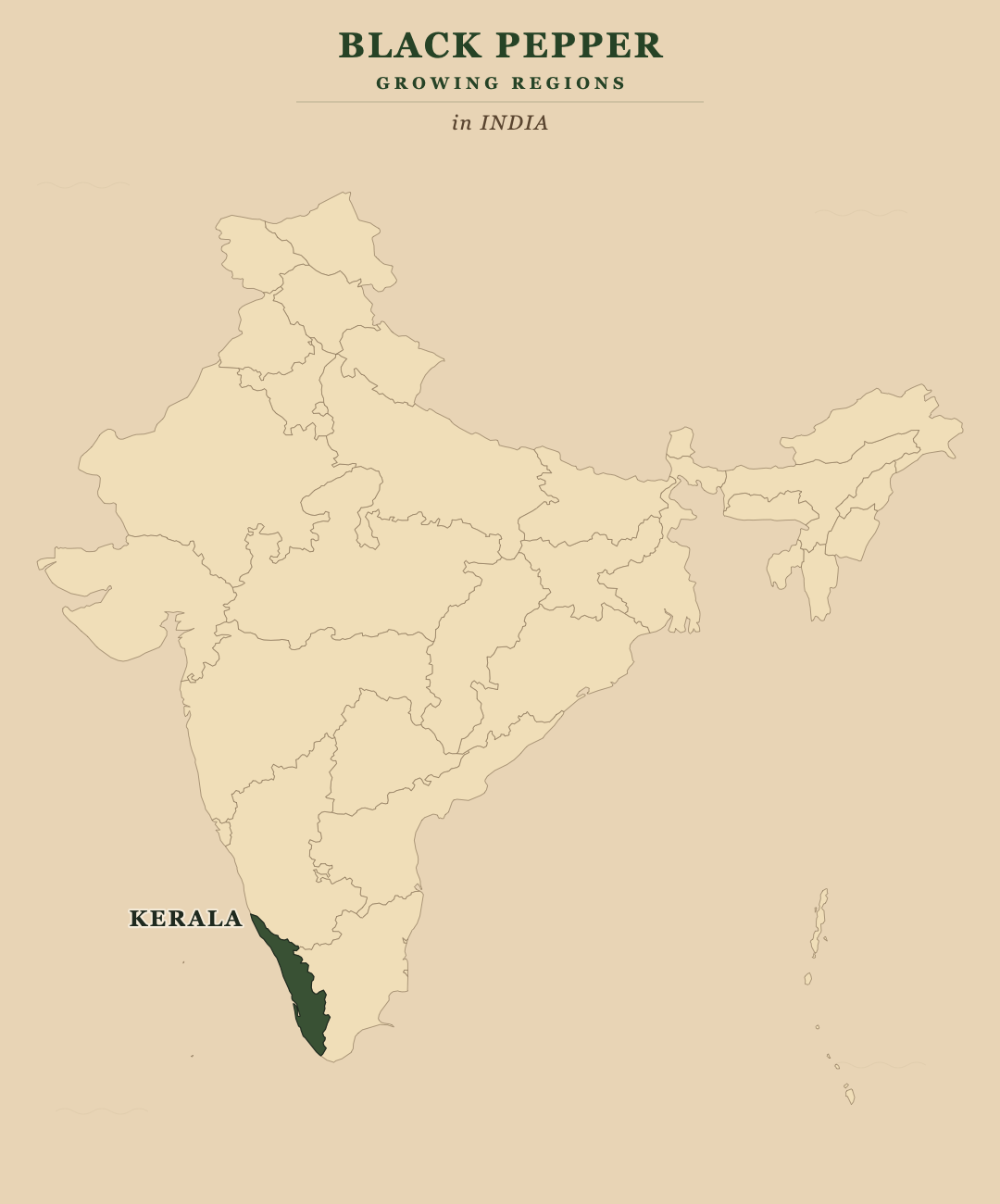 Black Pepper — growing regions