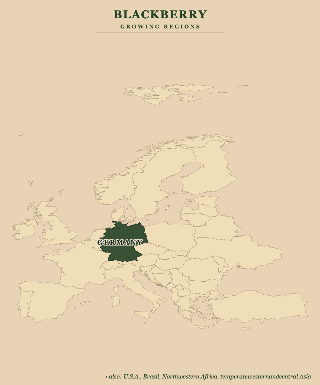 Blackberry — growing regions