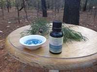 Blue Cypress