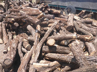 Buddha Wood