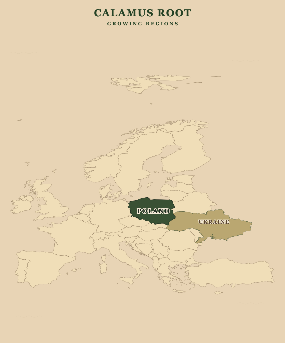 Calamus Root — growing regions