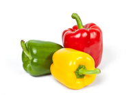 Capsicum/Bell Pepper (Green)