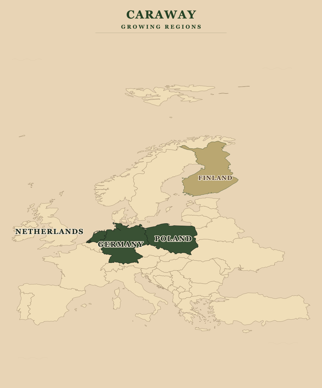 Caraway Seed — growing regions