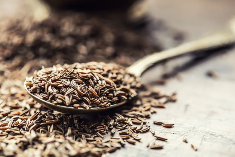 Caraway Seed — Warm-anise, Earthy-bright, Concentrated