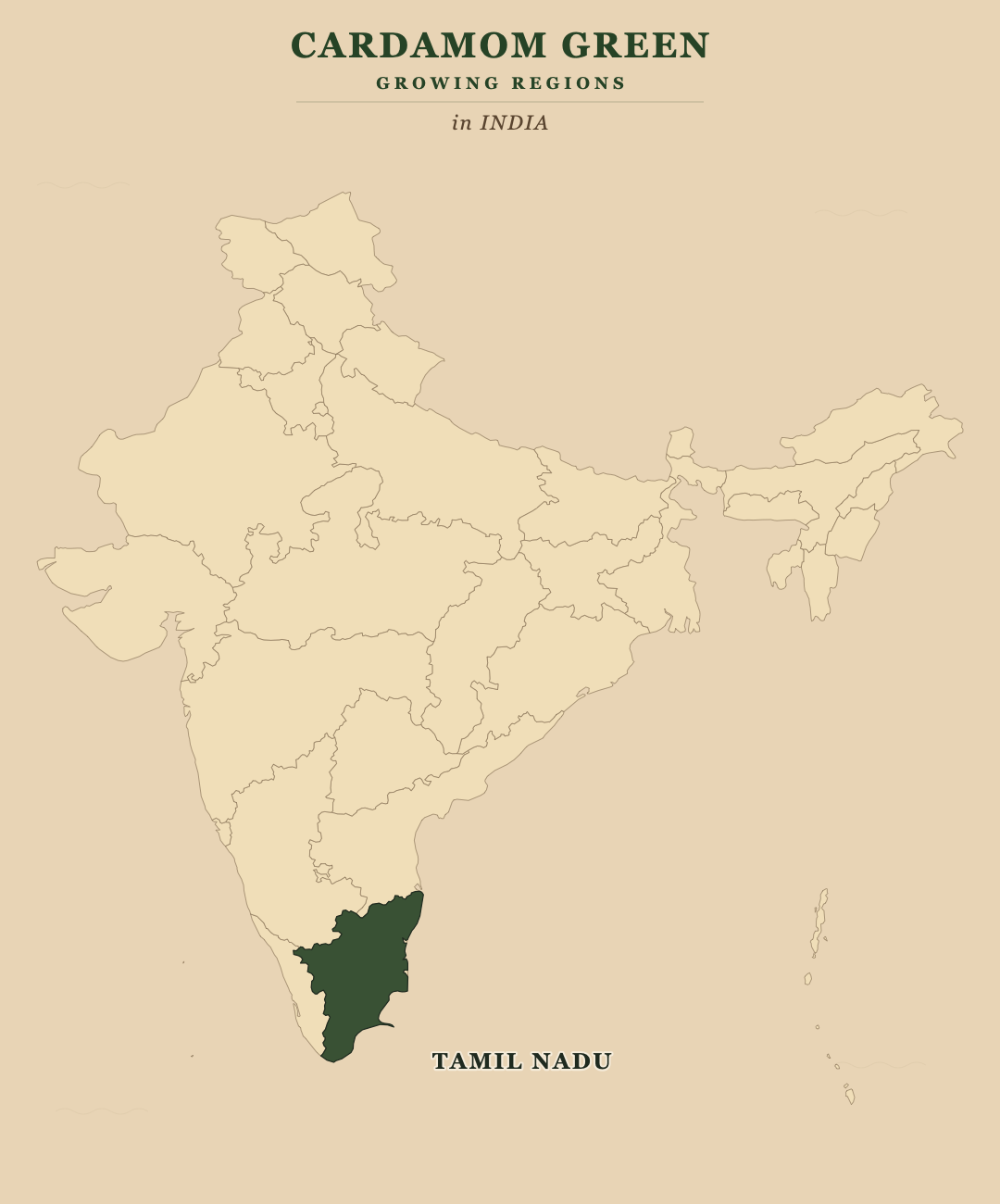 Cardamom Green — growing regions