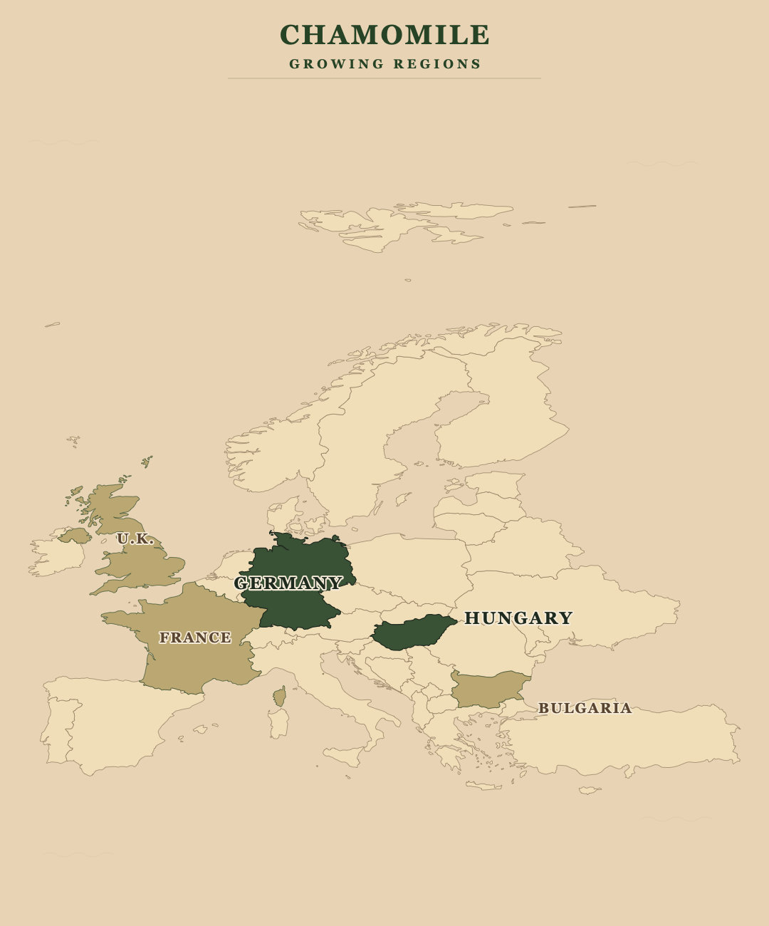 Chamomile — growing regions