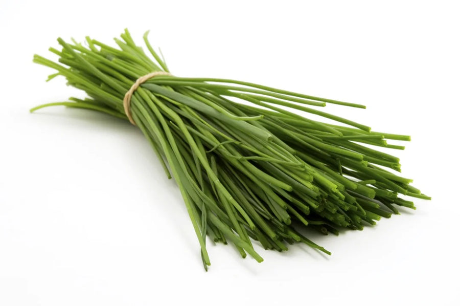 Chives — Mild-onion, Bright-green, Grassy-fresh