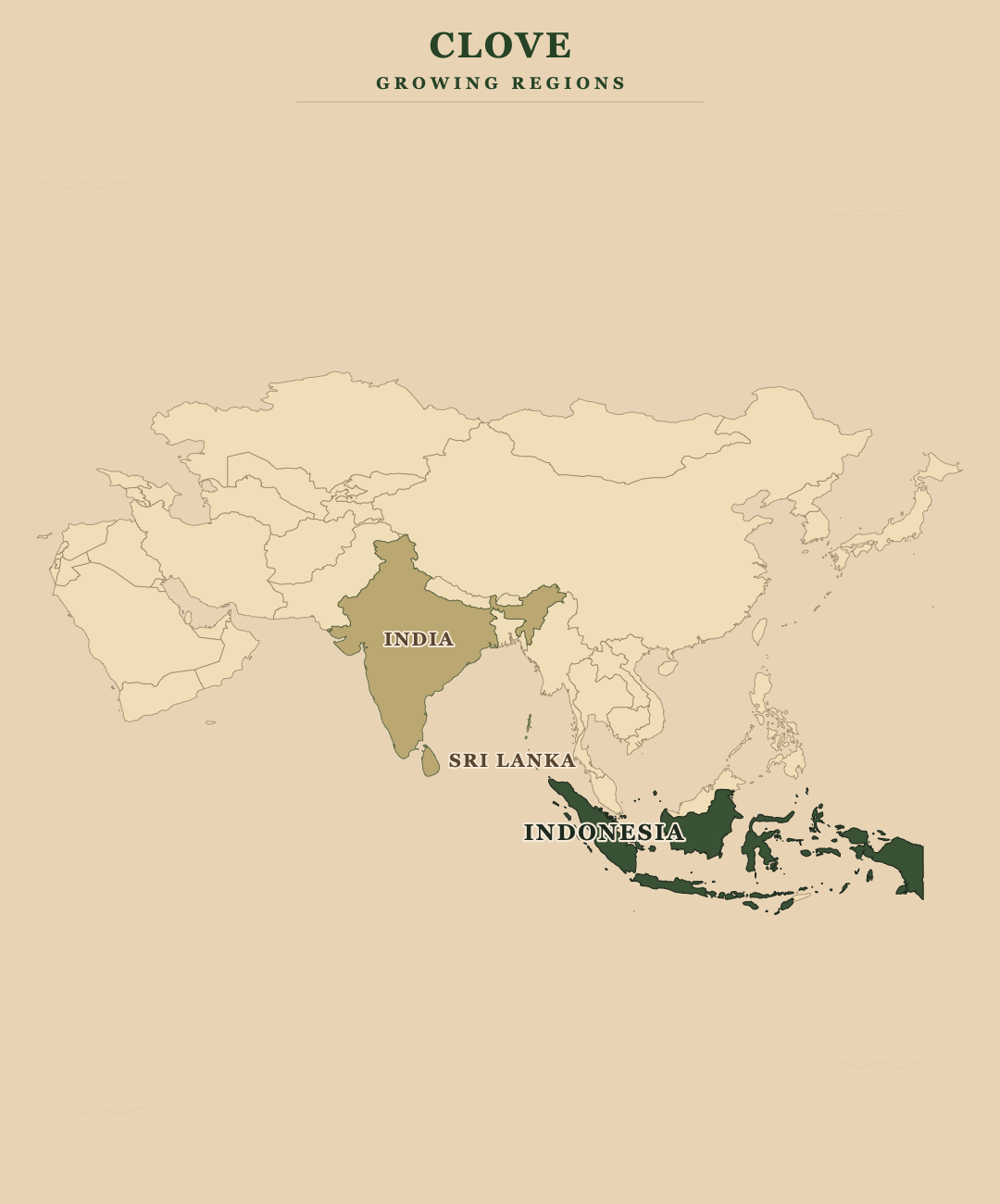 Clove — growing regions