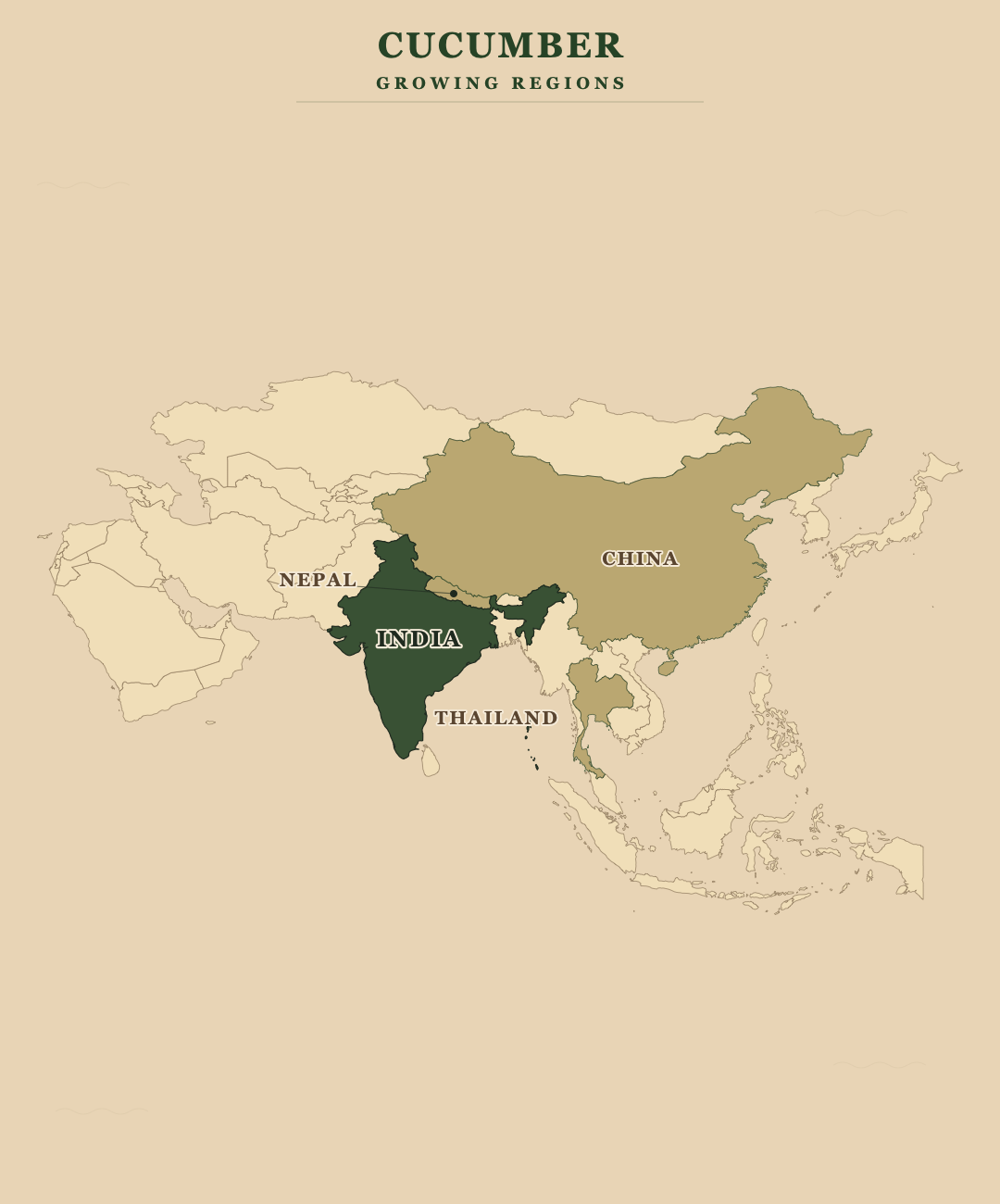 Cucumber — growing regions