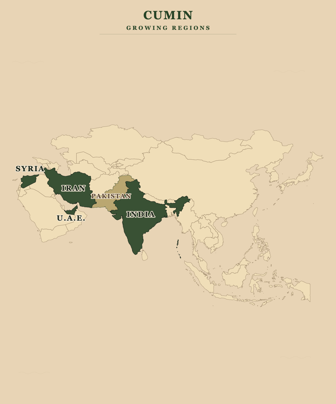 Cumin — growing regions