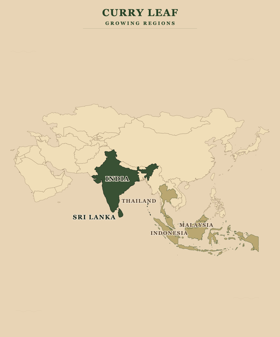 Curry Leaf — growing regions